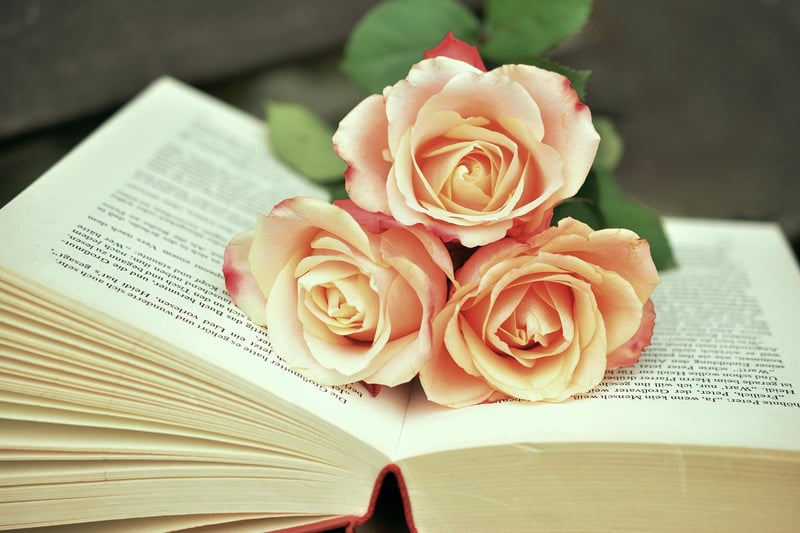 Books Library