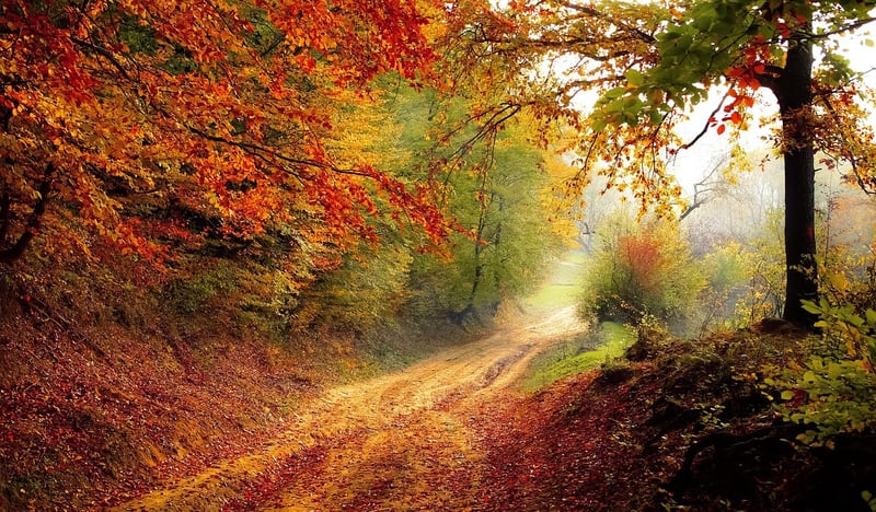 Road to Growth